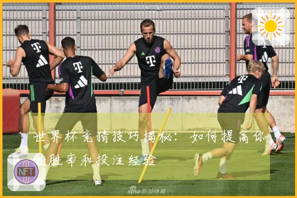 世界杯竞猜技巧揭秘：如何提高你的胜率和投注经验