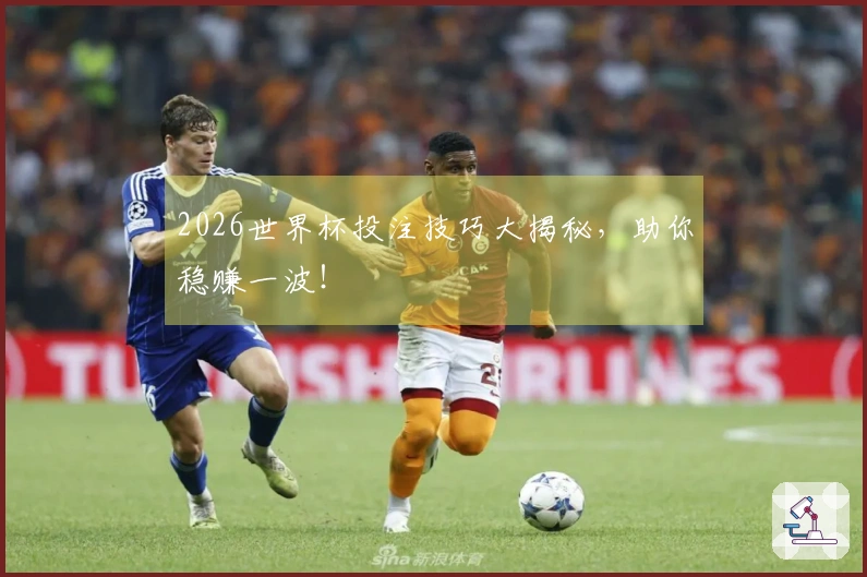 2026世界杯投注技巧大揭秘，助你稳赚一波！