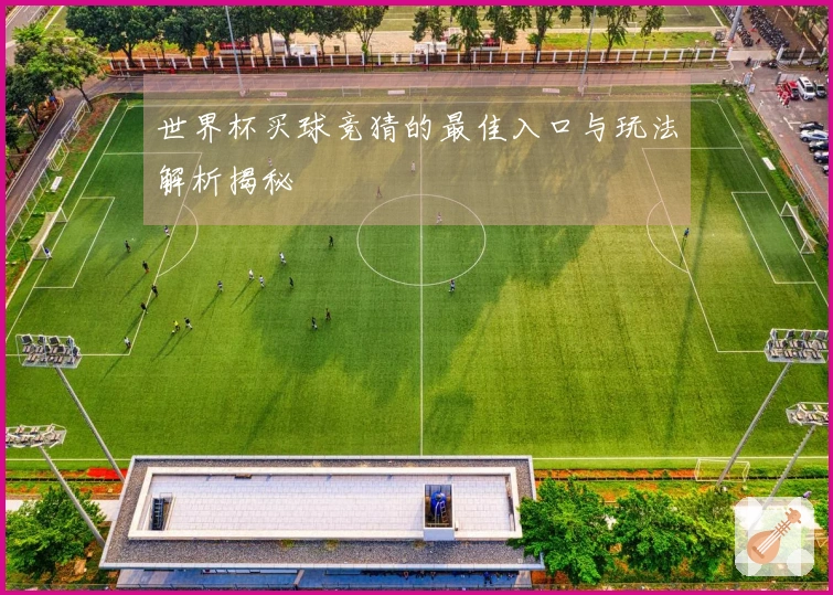 世界杯买球竞猜的最佳入口与玩法解析揭秘