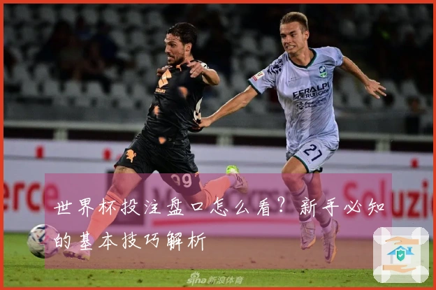 世界杯投注盘口怎么看？新手必知的基本技巧解析