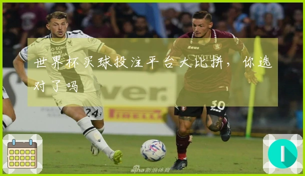 世界杯买球投注平台大比拼，你选对了吗