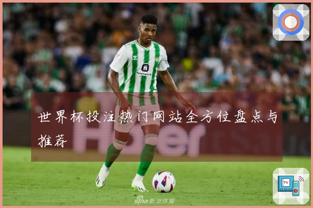 世界杯投注热门网站全方位盘点与推荐