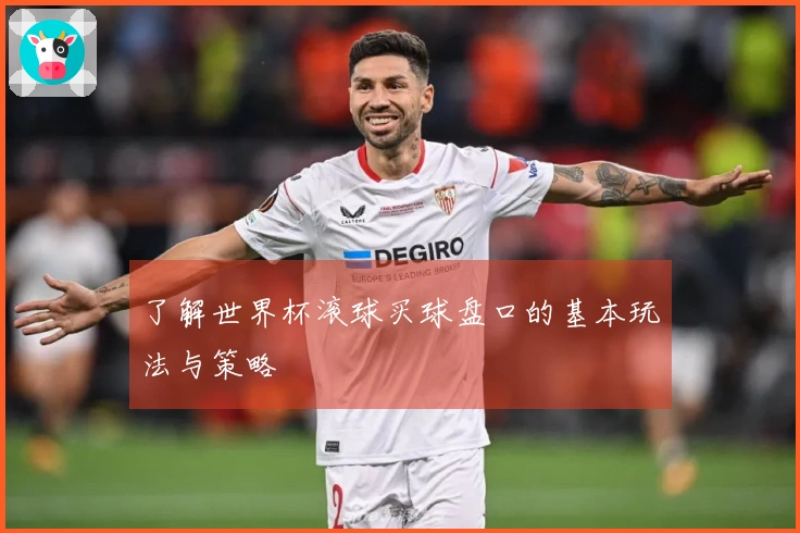 了解世界杯滚球买球盘口的基本玩法与策略