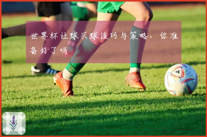 世界杯让球买球技巧与策略，你准备好了吗